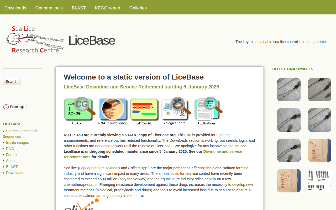 licebase.org