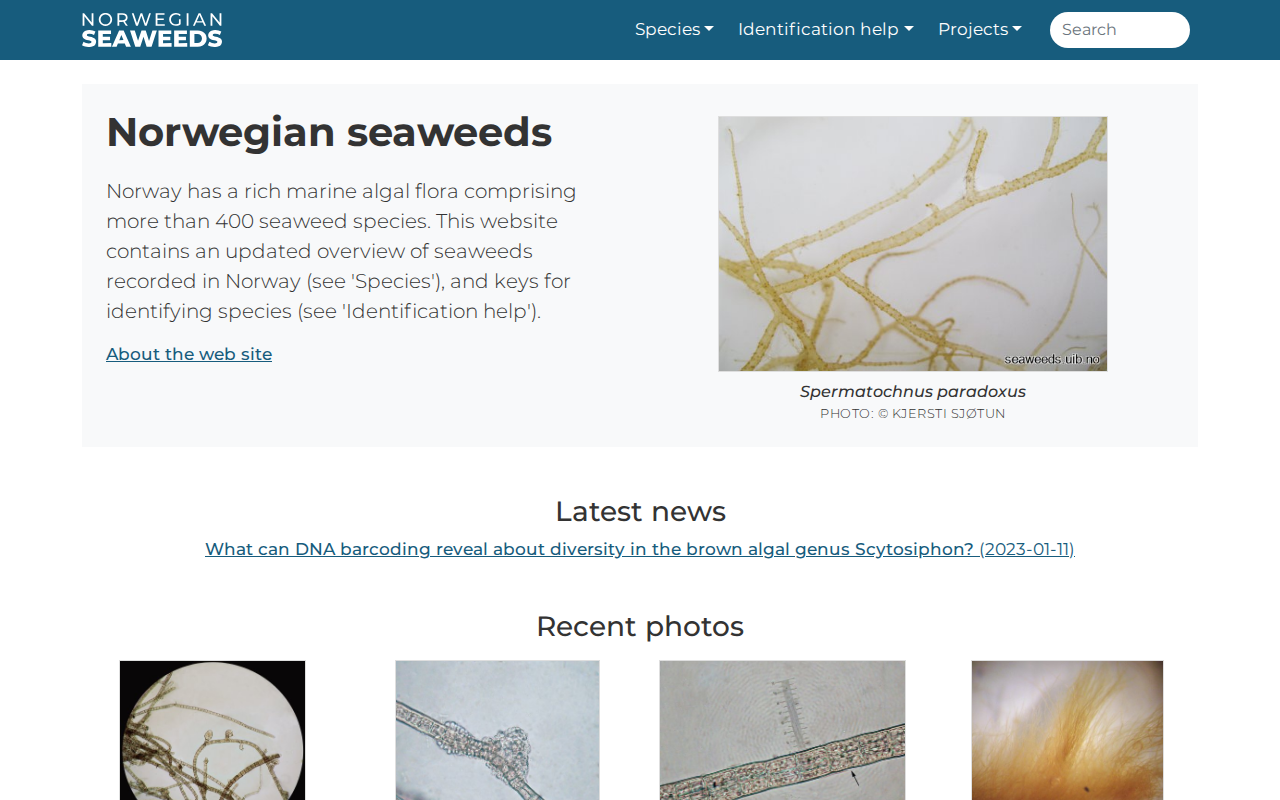 seaweeds.uib.no